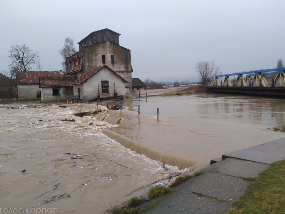 На Закарпатті затопило село, а річка Тиса підступає до Виноградова (відео, фото)