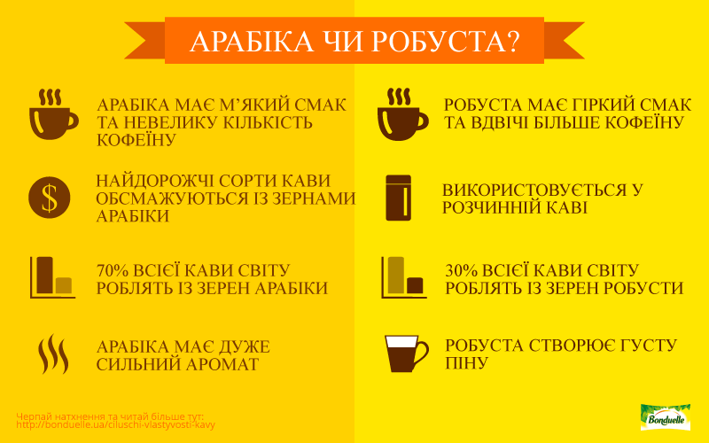 Арабика или робуста: в чем отличие и какой кофе лучше выбрать