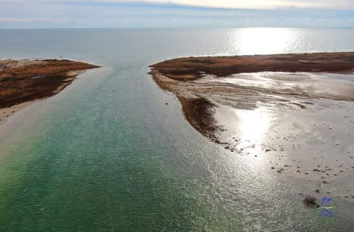 Настоящее чудо: под Одессой море невероятным способом соединилось с водоемами