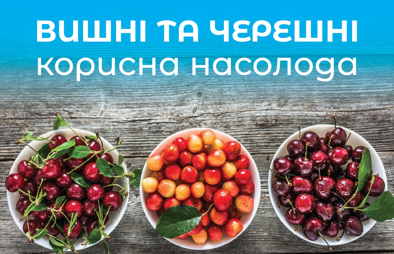 Вишни и черешни. Почему обязательно нужно есть в сезон это "полезное наслаждение"