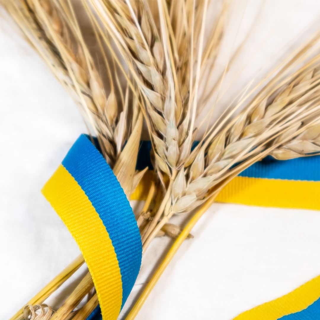 День Независимости Украины: Зеленская, Джамала, Сумская и другие звезды поздравляют с праздником