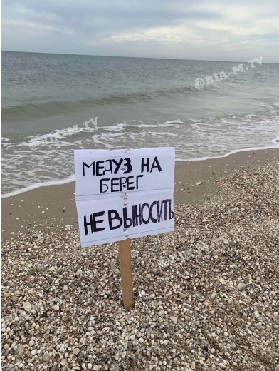 На популярному українському курорті туристам заборонили виносити медуз на берег: названо причину (відео)