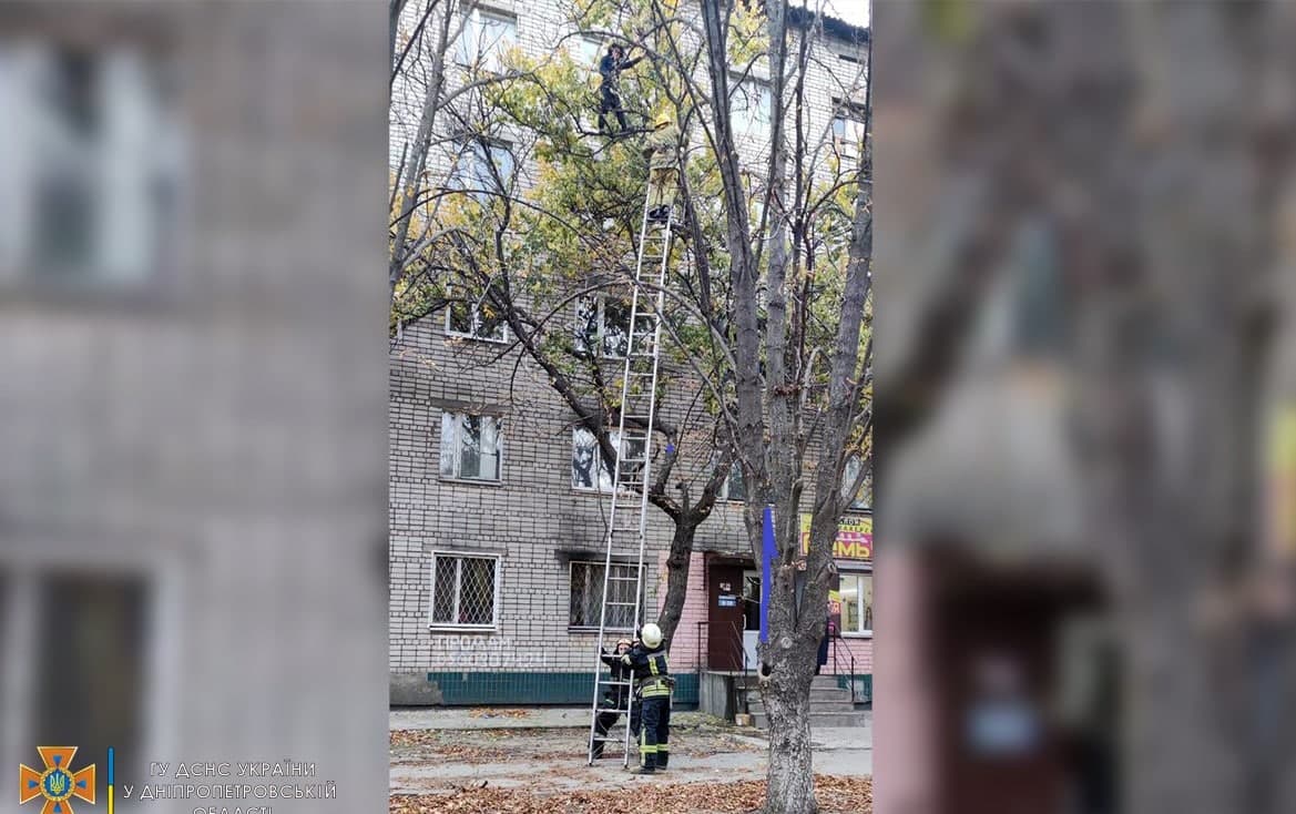 У Нікополі рятувальники зняли з дерева вагітну багатодітну матір: була на висоті 10 метрів