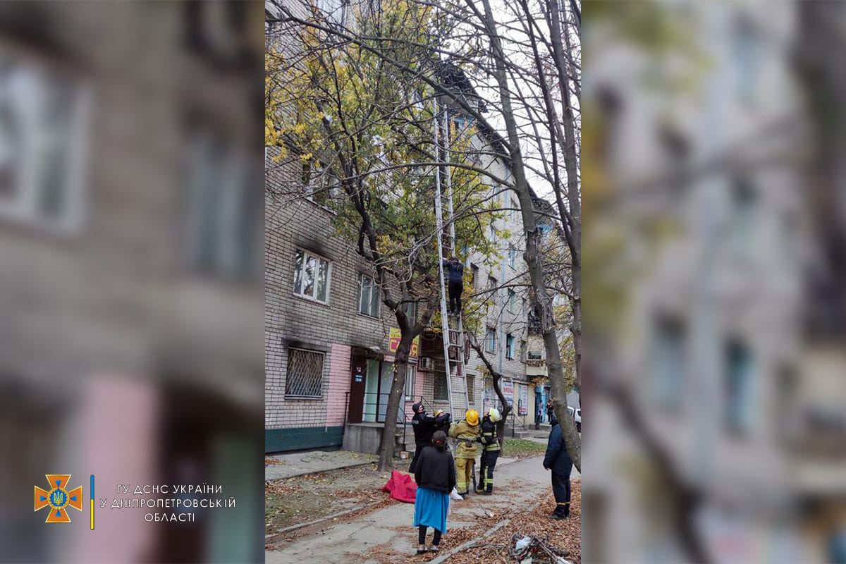 У Нікополі рятувальники зняли з дерева вагітну багатодітну матір: була на висоті 10 метрів