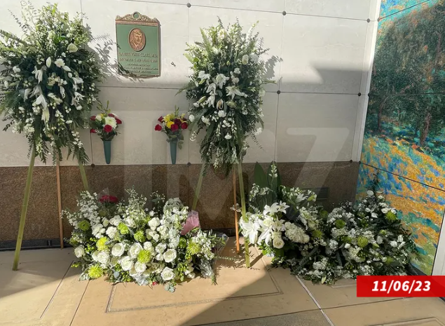 Стало известно, рядом с кем похоронили Мэттью Перри