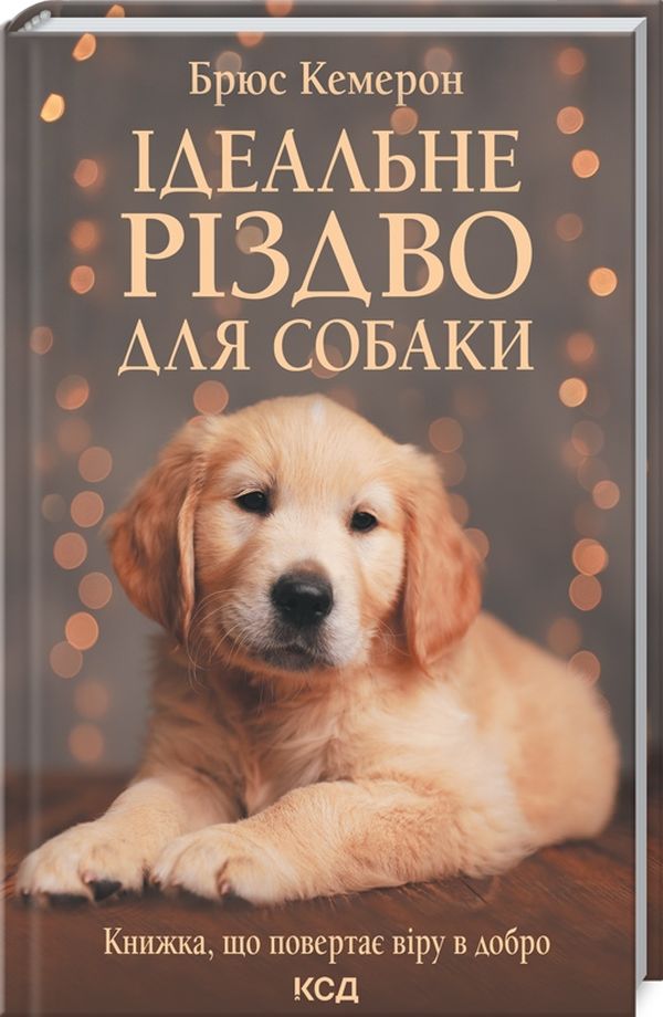 5 книг для уютных зимних вечеров, которые утешат и поддержат