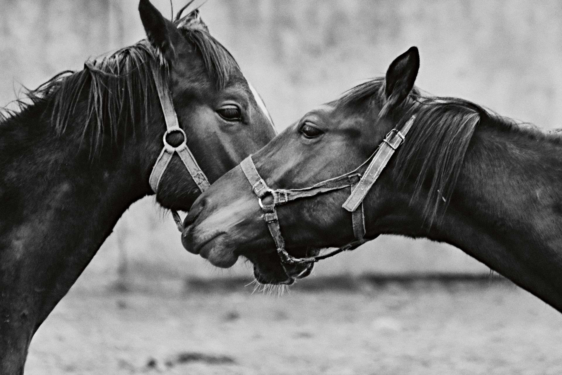 "Є поганий смак. Поганого мистецтва немає": художник Павло Мазай про сучасний арт і несмак київських вулиць