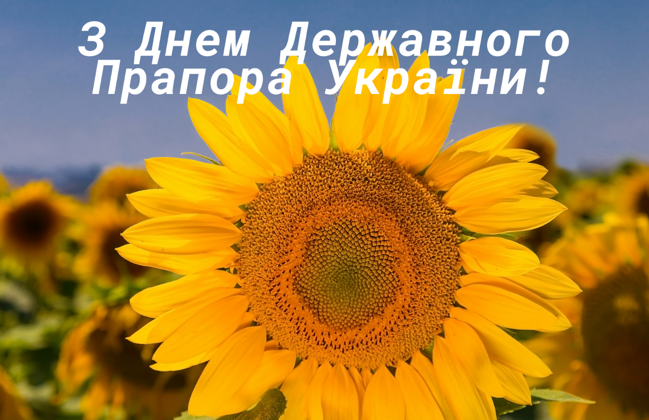 День Державного прапора України 2024: історія свята, красиві привітання у віршах та прозі