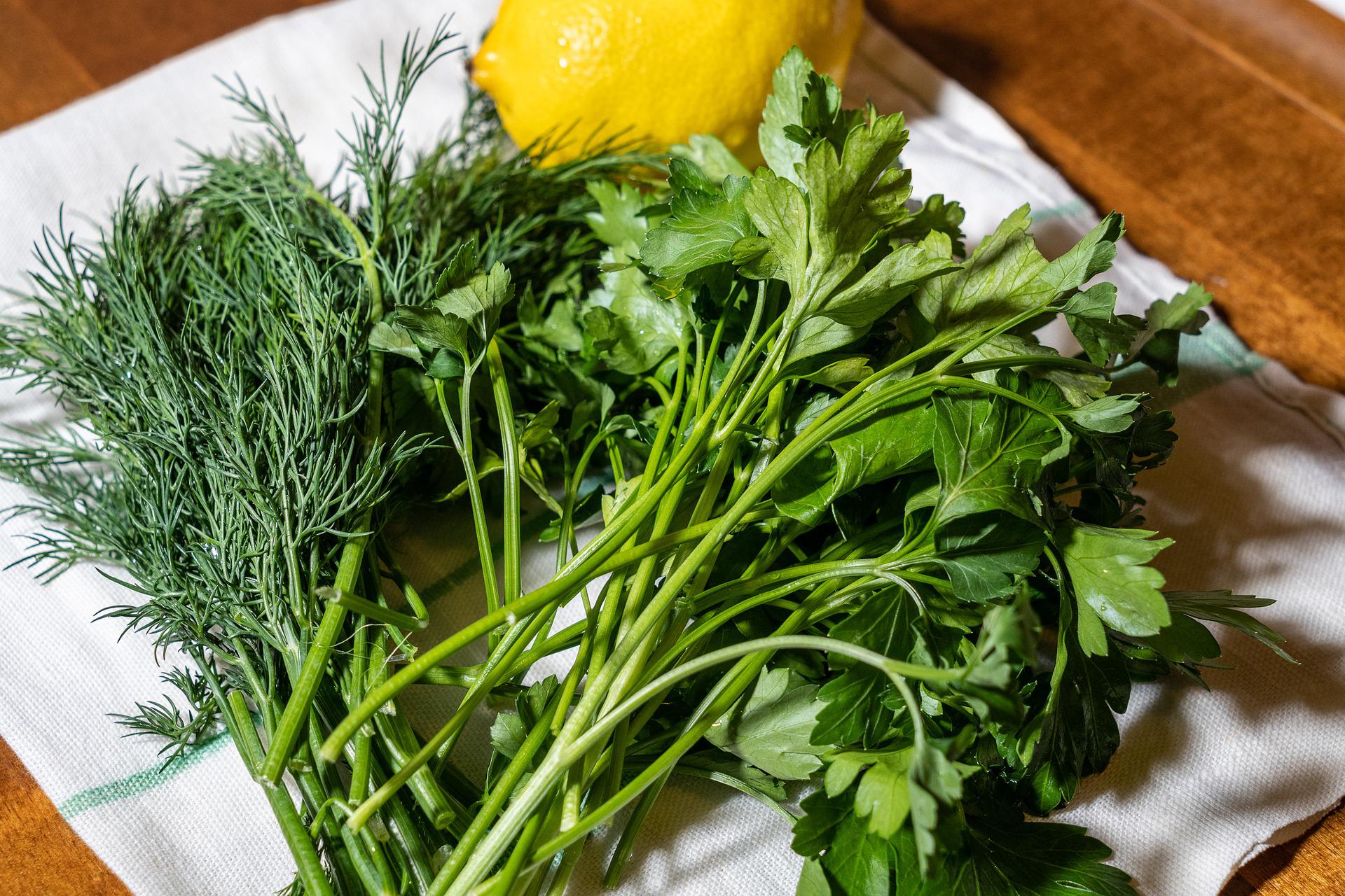 7 самых полезных продуктов для наших почек: как предупредить болезни