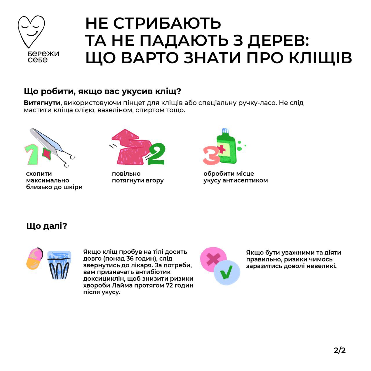 Осторожно, клещи! Что нужно знать об этих насекомых всем украинцам