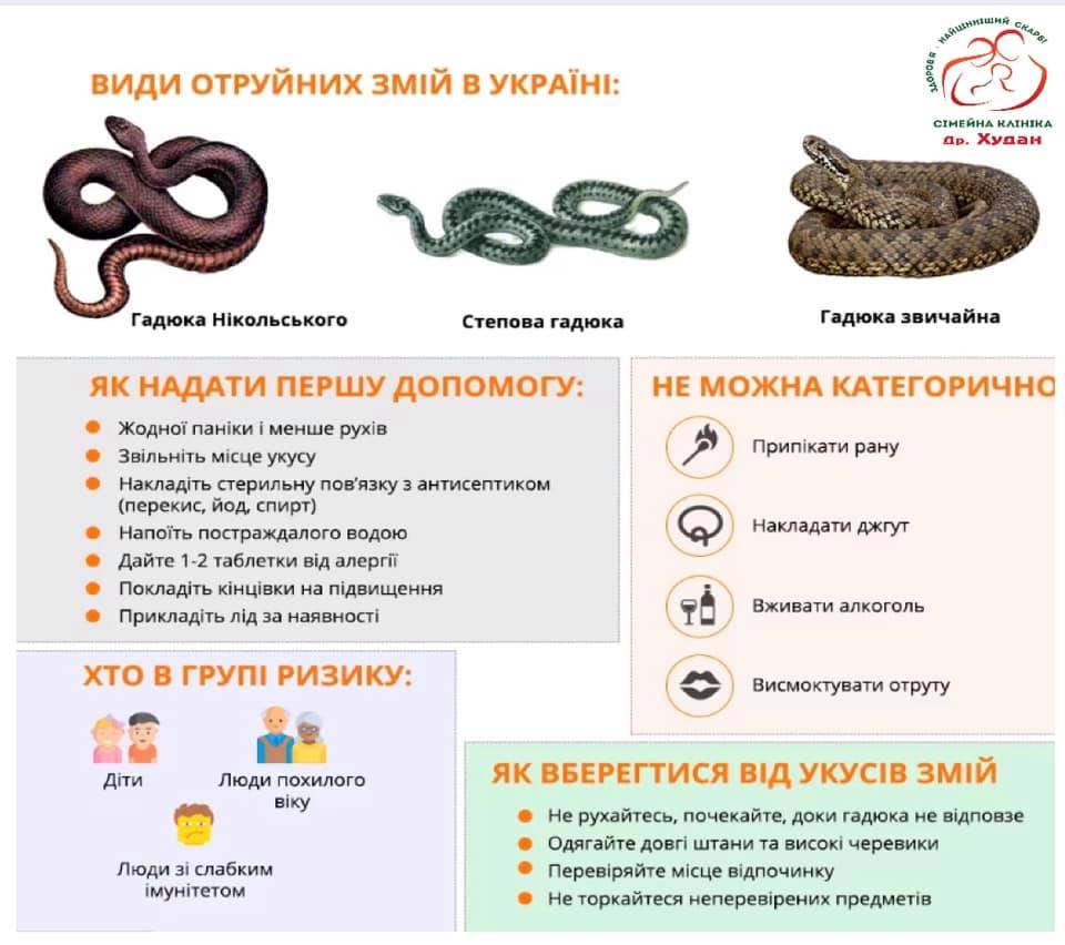 Ці прості поради допоможуть вберегтись від укусів змій