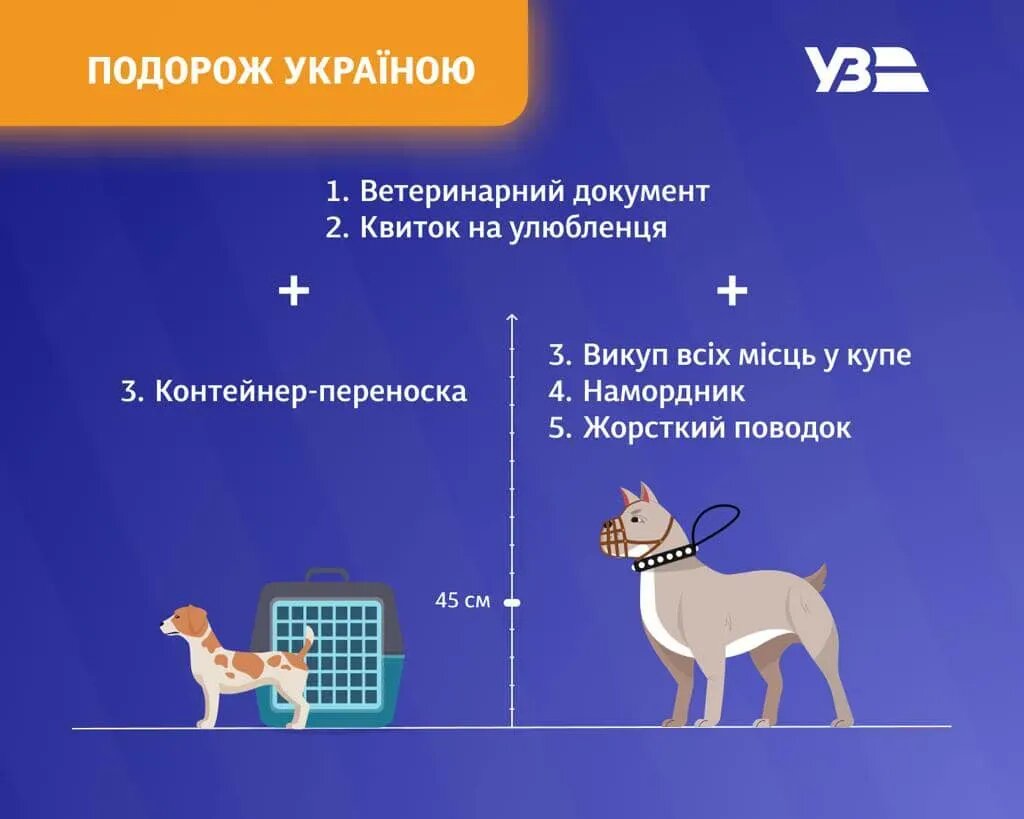 Как безопасно перевозить животных в поезде: советы для владельцев кошек, собак и птиц