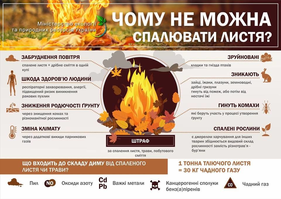 Штрафы и тюрьма. Что грозит украинцам за сжигание листья и травы