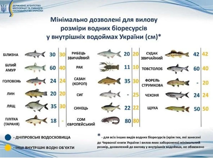 Какую рыбу можно ловить в мае, а какую - категорически запрещено
