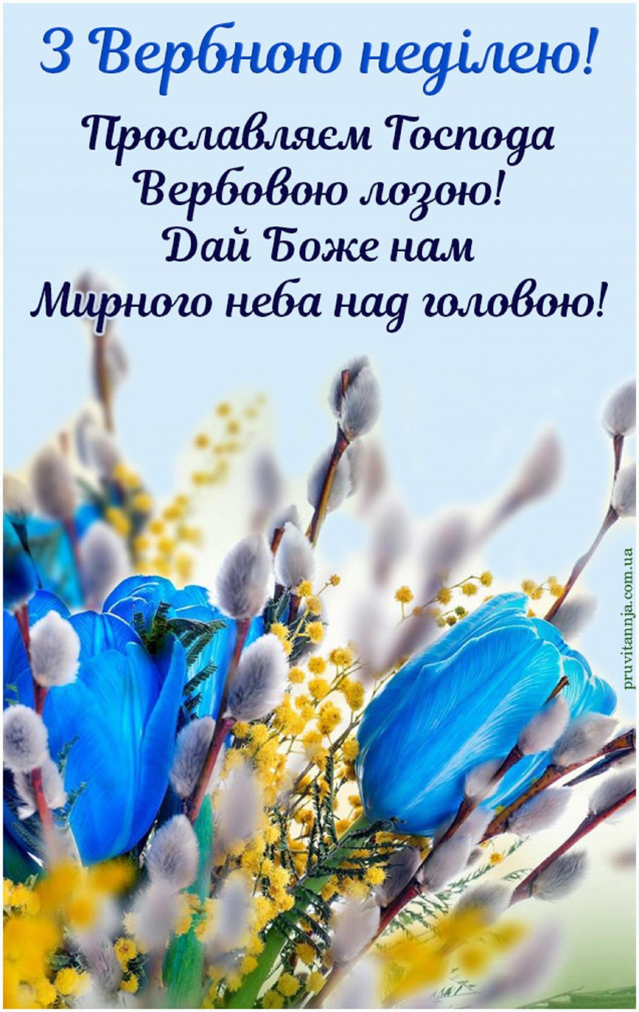 Вербна неділя: найтепліші привітання у віршах, листівках і своїми словами