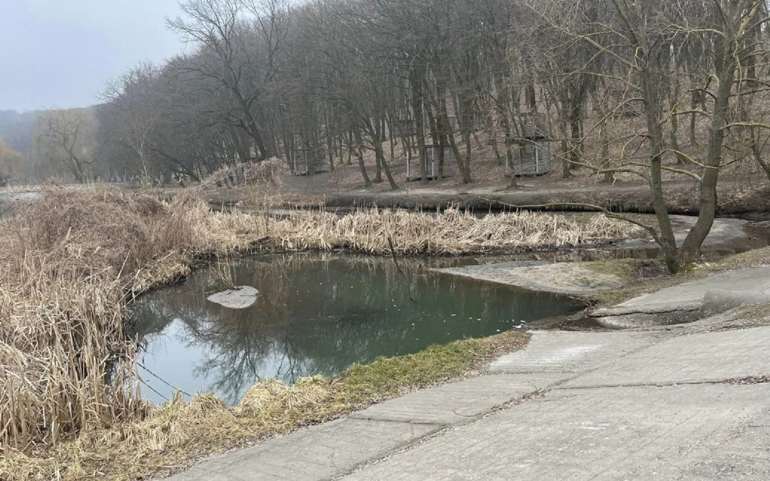 Вода изменила цвет: на одном из озер Киева катастрофическая ситуация (фото)