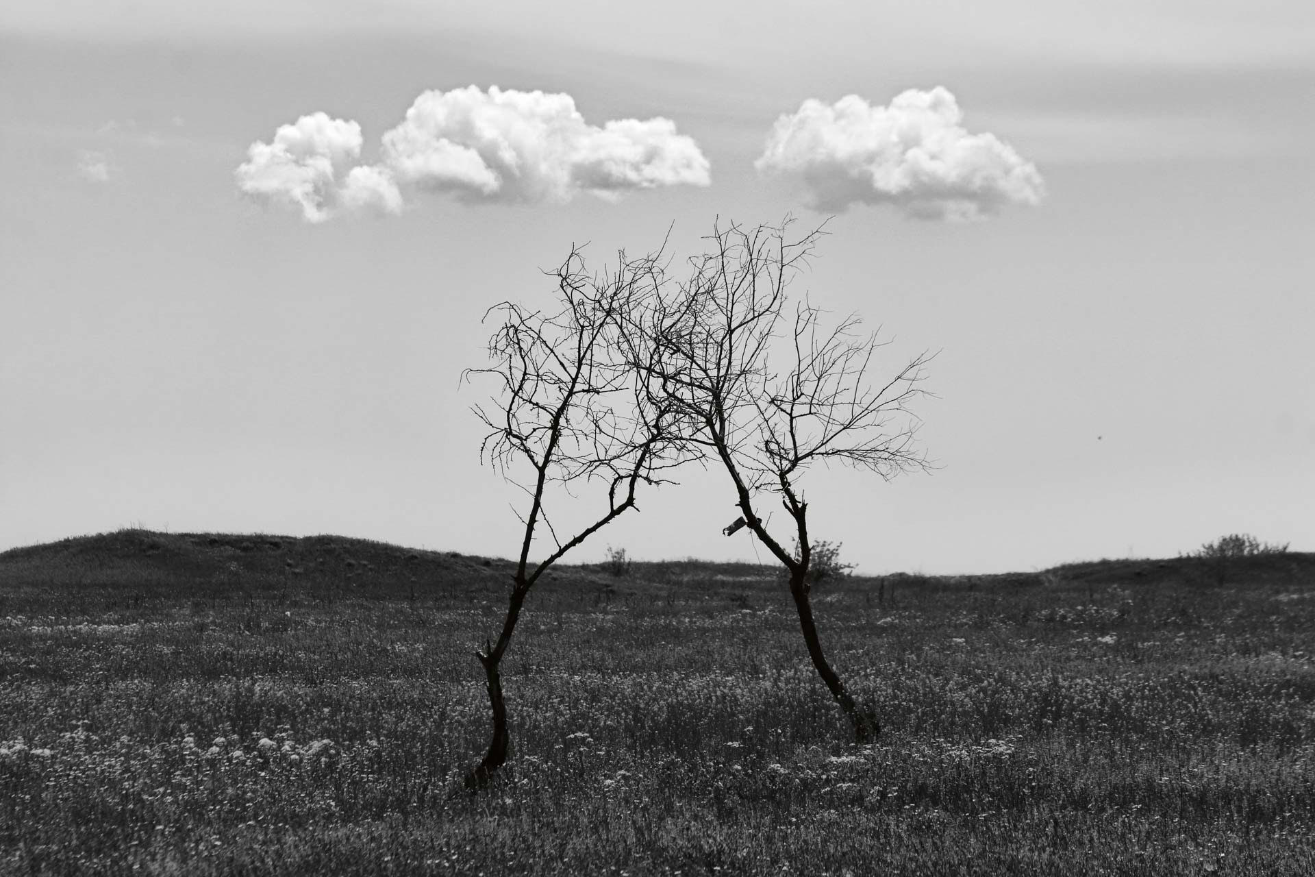 "Є поганий смак. Поганого мистецтва немає": художник Павло Мазай про сучасний арт і несмак київських вулиць