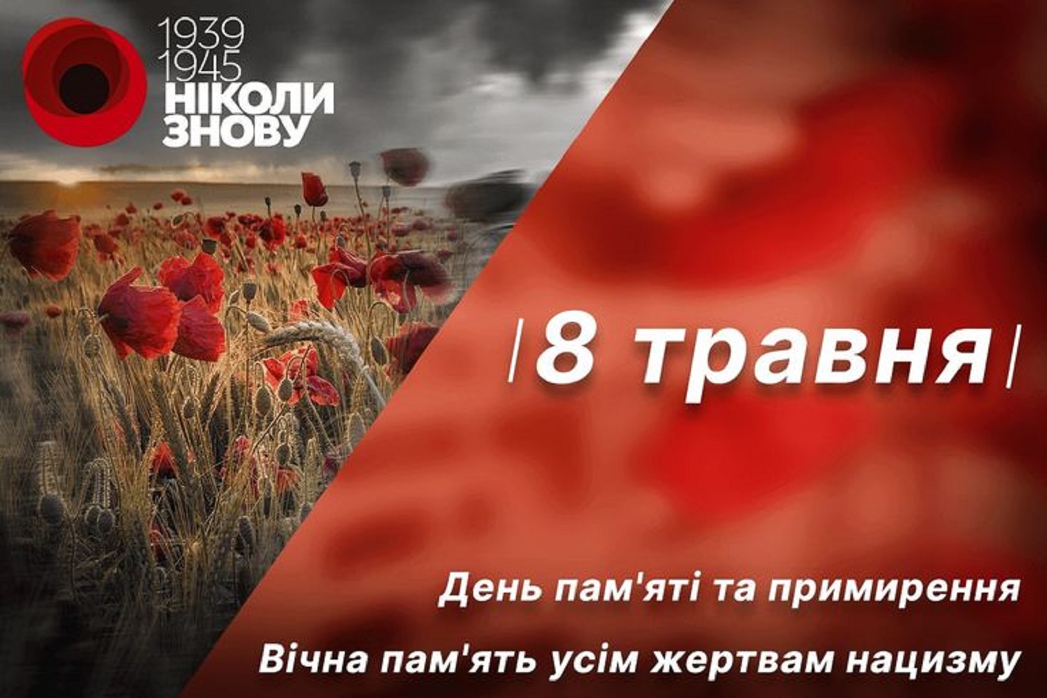 С Днем памяти и примирения: теплые поздравления своими словами и в открытках