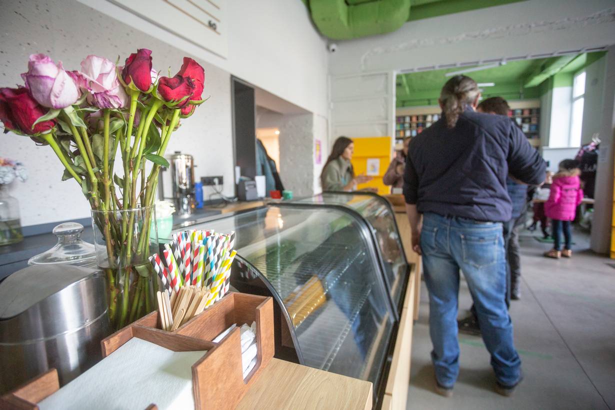 Печерські котики. Як працюють київські волонтери