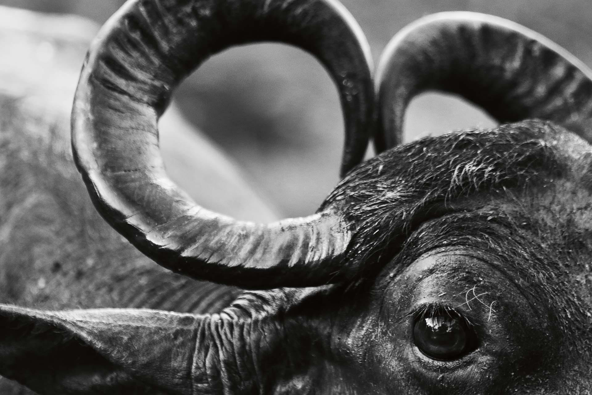 "Є поганий смак. Поганого мистецтва немає": художник Павло Мазай про сучасний арт і несмак київських вулиць