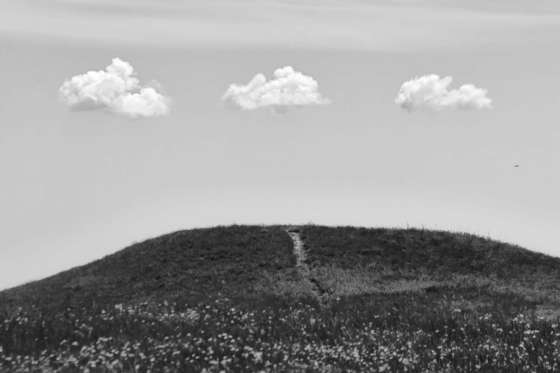 "Є поганий смак. Поганого мистецтва немає": художник Павло Мазай про сучасний арт і несмак київських вулиць