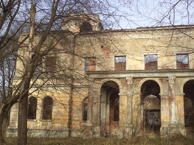 Під Львовом продають унікальний замок XVIII століття за 1 гривню (фото)