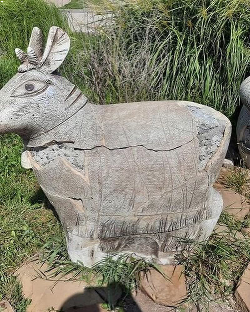 З'явилися свіжі фото "Донбас-Арени", куди бояться заходити люди: сумні кадри