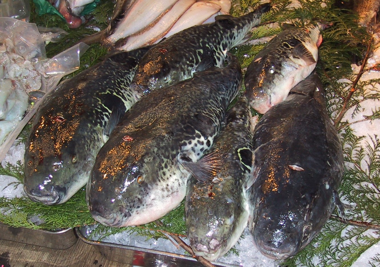 5 самых опасных продуктов в мире: украинцы это тоже покупают и едят