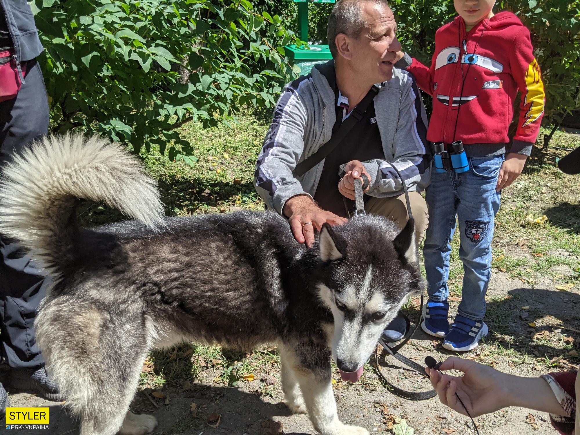 Мешканці Києва влаштували величезну чергу, щоб забрати тварин з притулку: фото та відео