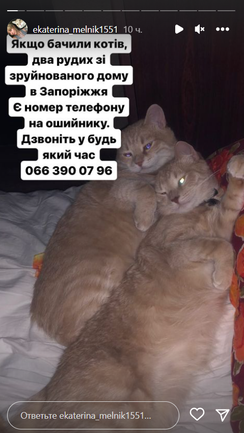 5 часов под руинами с котиком в руках: женщина чудом выжила после удара РФ по дому в Запорожье