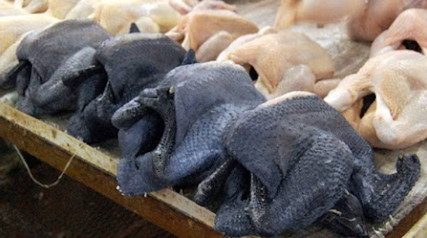 Икра по цене квартиры: смотрите, как выглядят самые дорогие продукты в мире