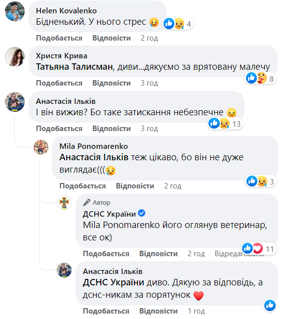 Бійці ДСНС провели рятувальну операцію, визволивши застряглого в паркані єнотика (фото)