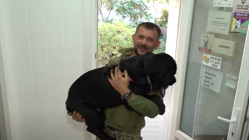 В Черкассах прооперировали раненую собаку Еву, которую боец ВСУ 12 часов вез из Лимана