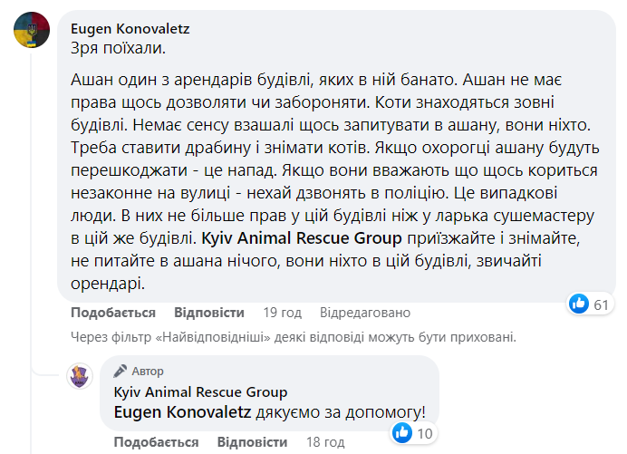 В Киеве спасли котиков на крыше супермаркета, несмотря на "нежелание сотрудников магазина"