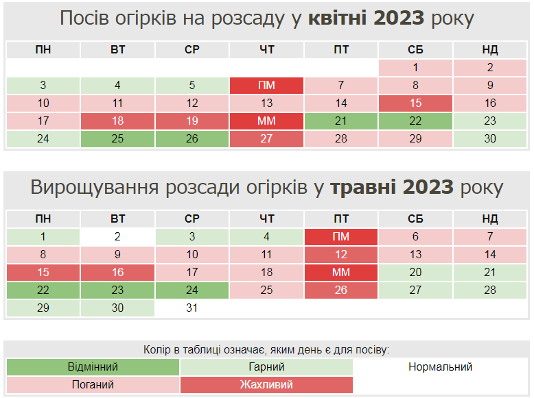 Вирощуємо розсаду огірків: коли і як сіяти, щоб зібрати ранній урожай