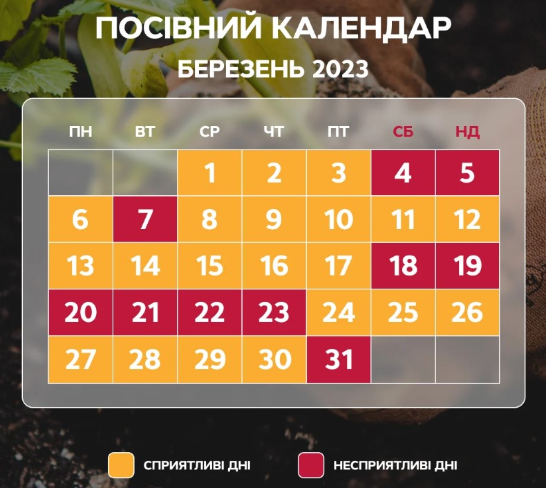 Посевной календарь на март 2023: когда строго запрещено сеять