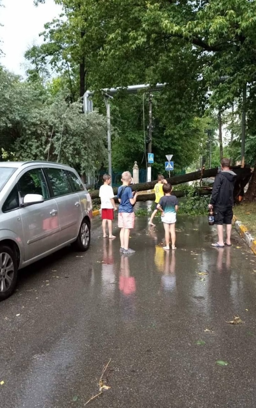 Блискавки з градом, потонуле авто і деревопад: відео і фото моторошної грози у Києві