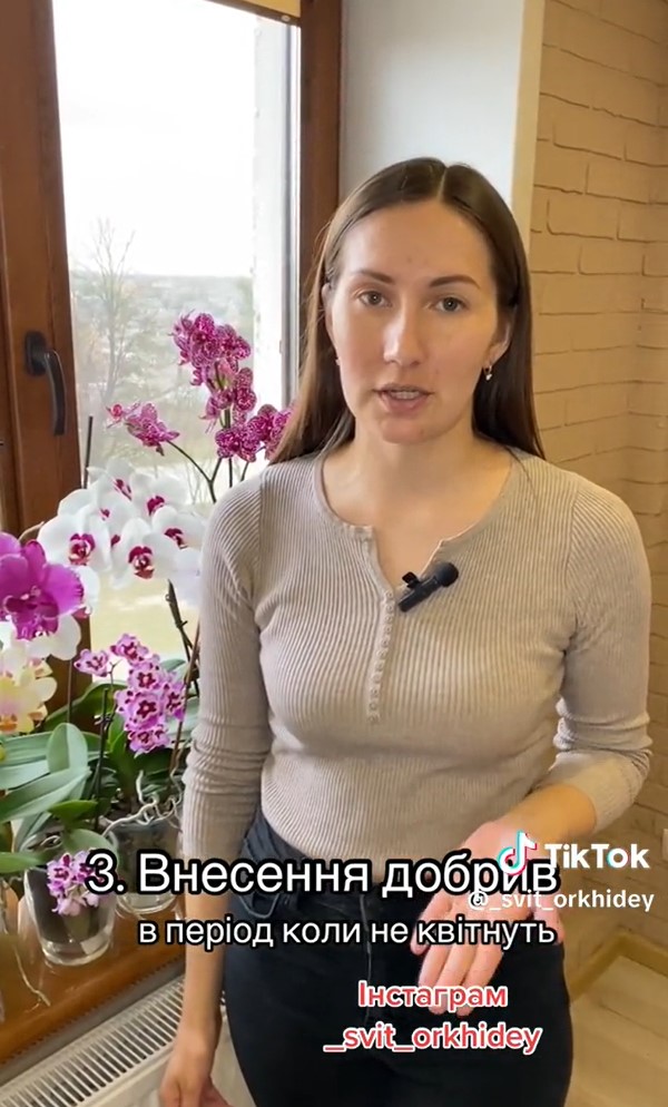 4 простых правила, с которыми ваши орхидеи будут часто и красиво цвести