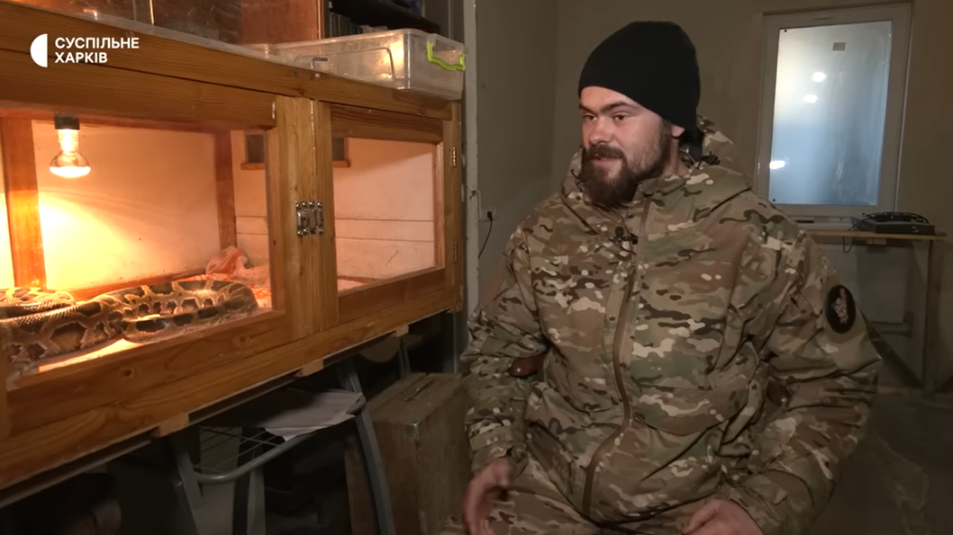 Боец ВСУ спас трехметрового питона из подбитого российского танка (видео и фото)