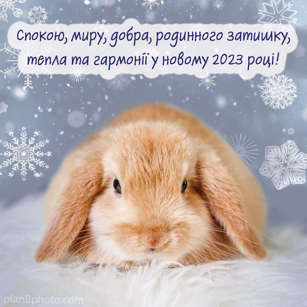 Гарні привітання з Новим роком 2023 у прозі, СМС і картинках