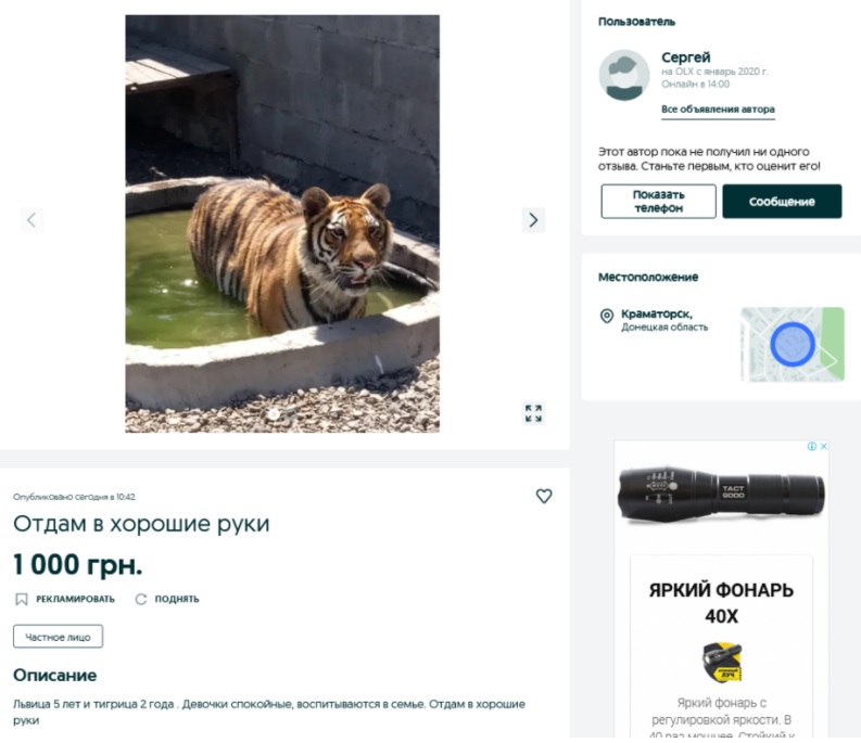 В Україні продають за тисячу гривень тигра і лева: "в хороші руки"