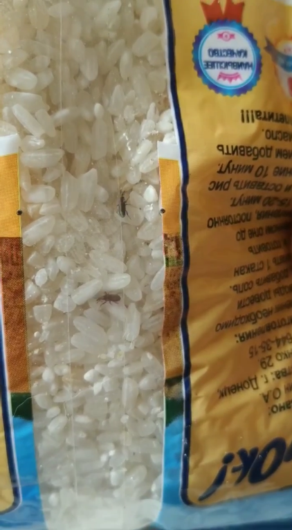Крупа з жуками та дві пляшки води на місяць: у мережі показали продуктовий набір від окупантів у Маріуполі