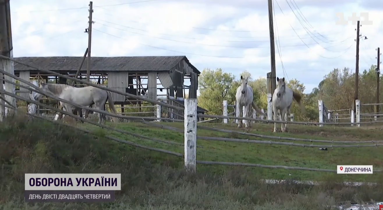 Мародерили, пиячили та вимагали їжу: українці розповіли, що окупанти робили у Лимані