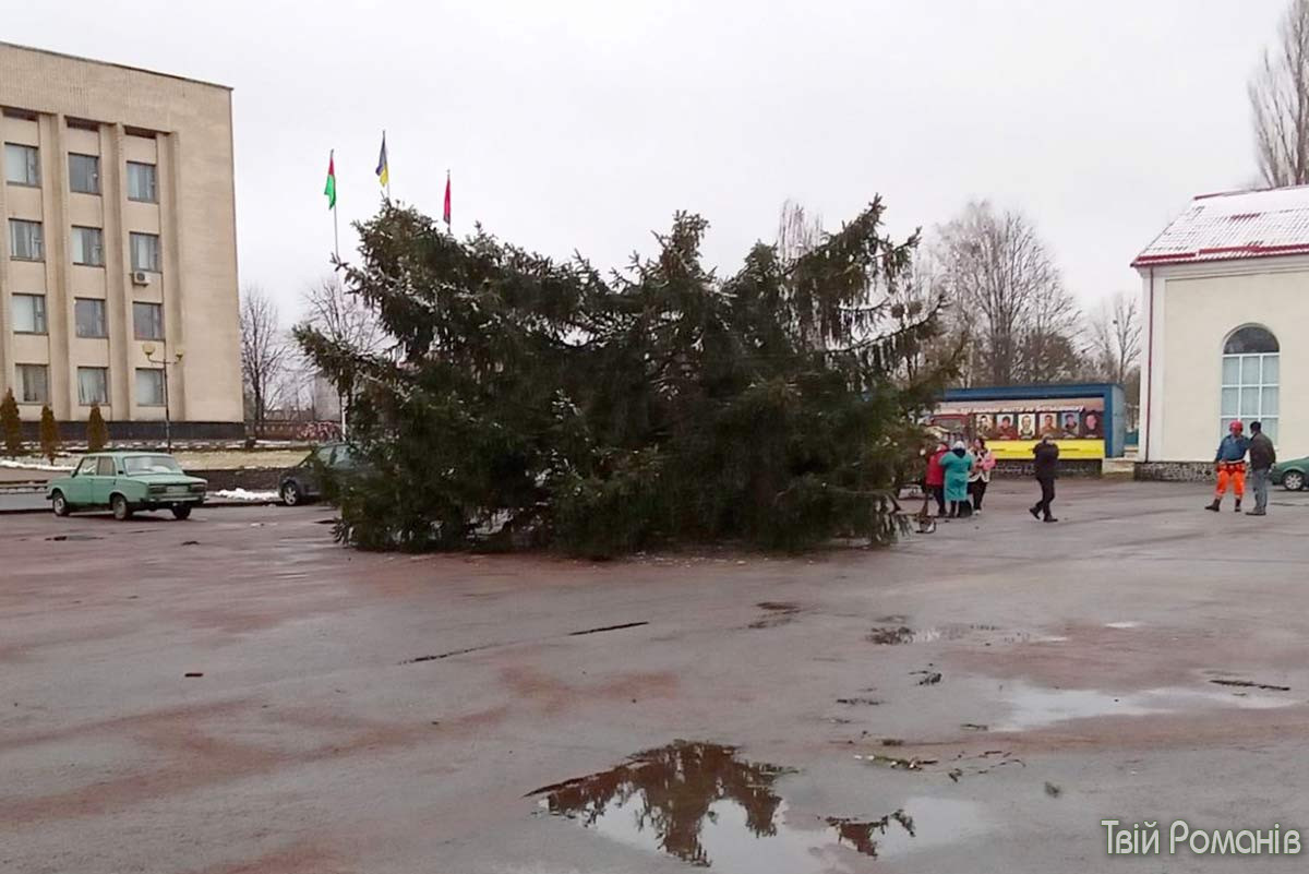 В Украине продолжается "елкопад": где успели упасть новогодние красавицы