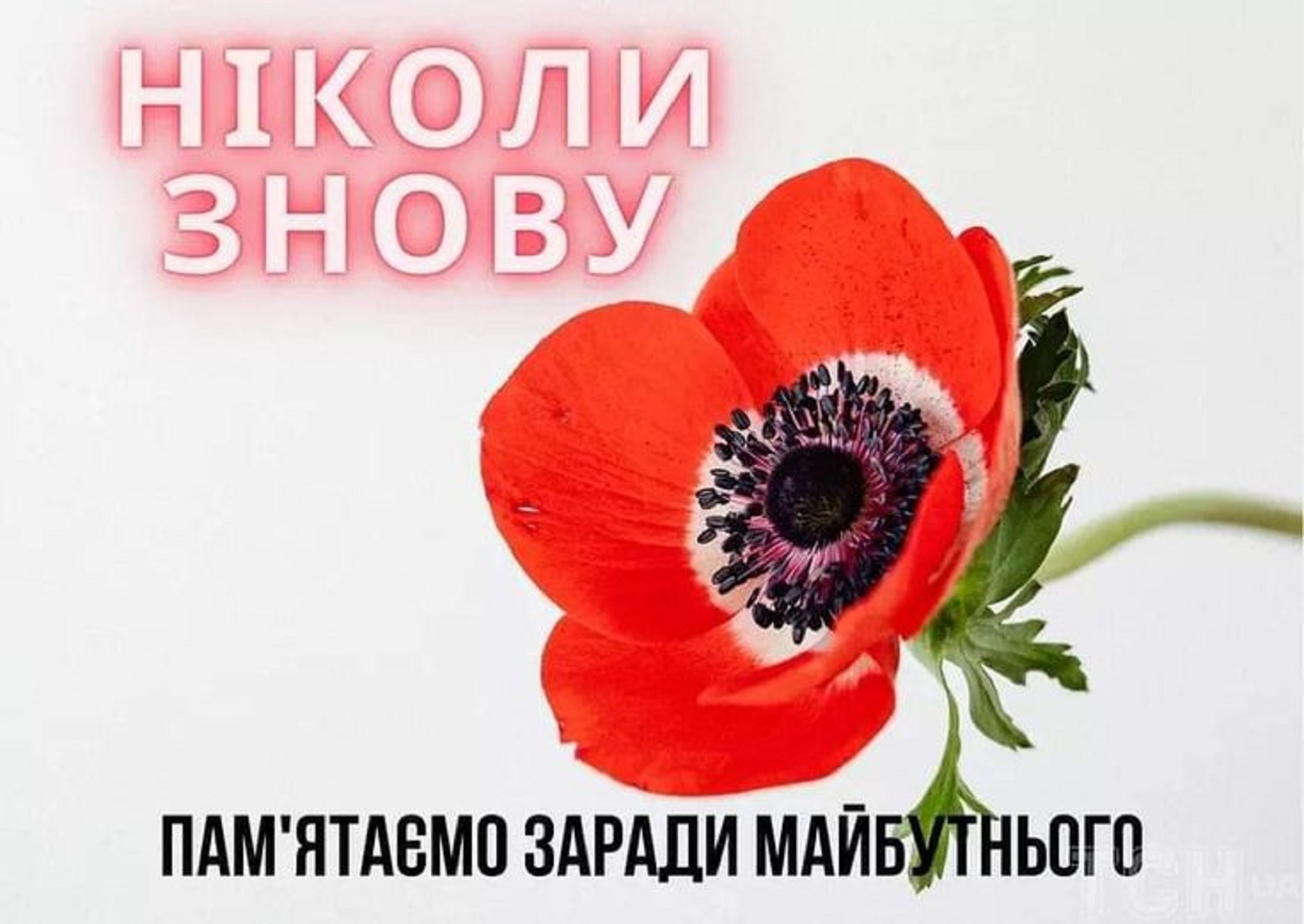 С Днем памяти и примирения: теплые поздравления своими словами и в открытках