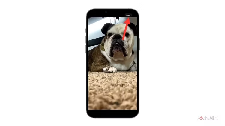 6 скрытых функций вашего iPhone, которые сильно упростят вам жизнь