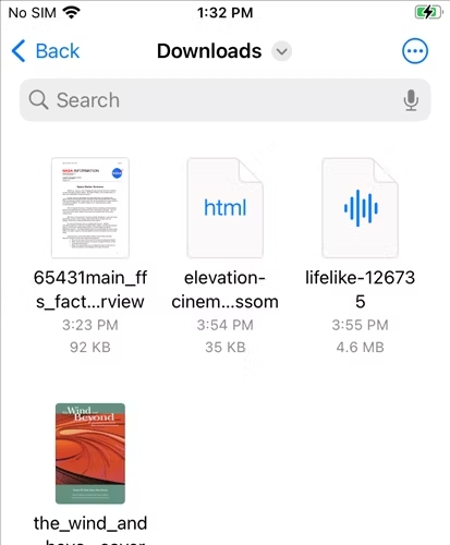 Ці дії допоможуть вам знайти файли та інші завантаження на iPhone чи iPad