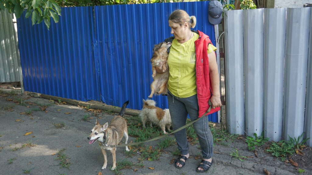 Переселенка с Донбасса спасла более 40 животных: всех забрала с собой в безопасное место