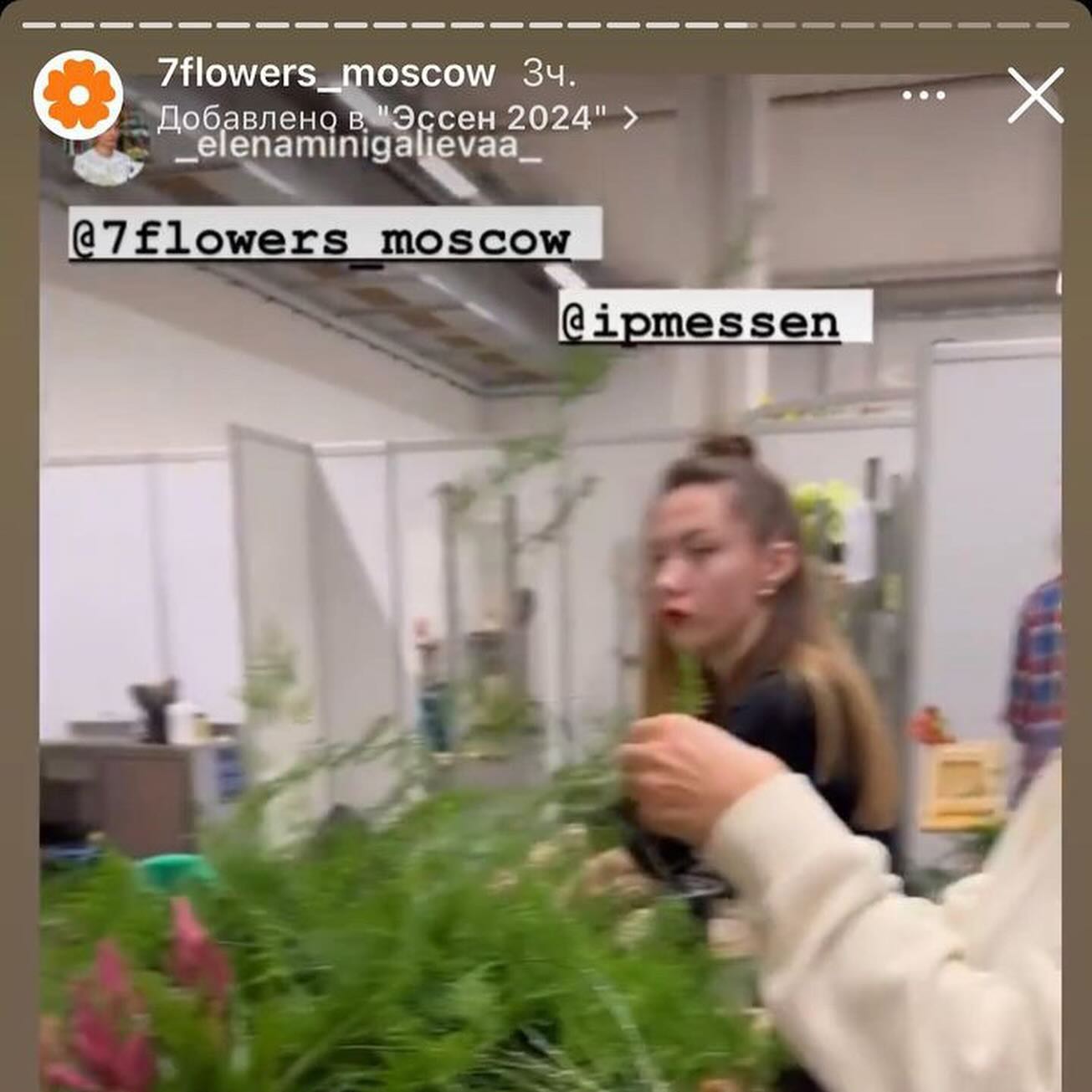 Українських флористів "засікли" з росіянами на виставці в Німеччині. Чи є "зрада"?