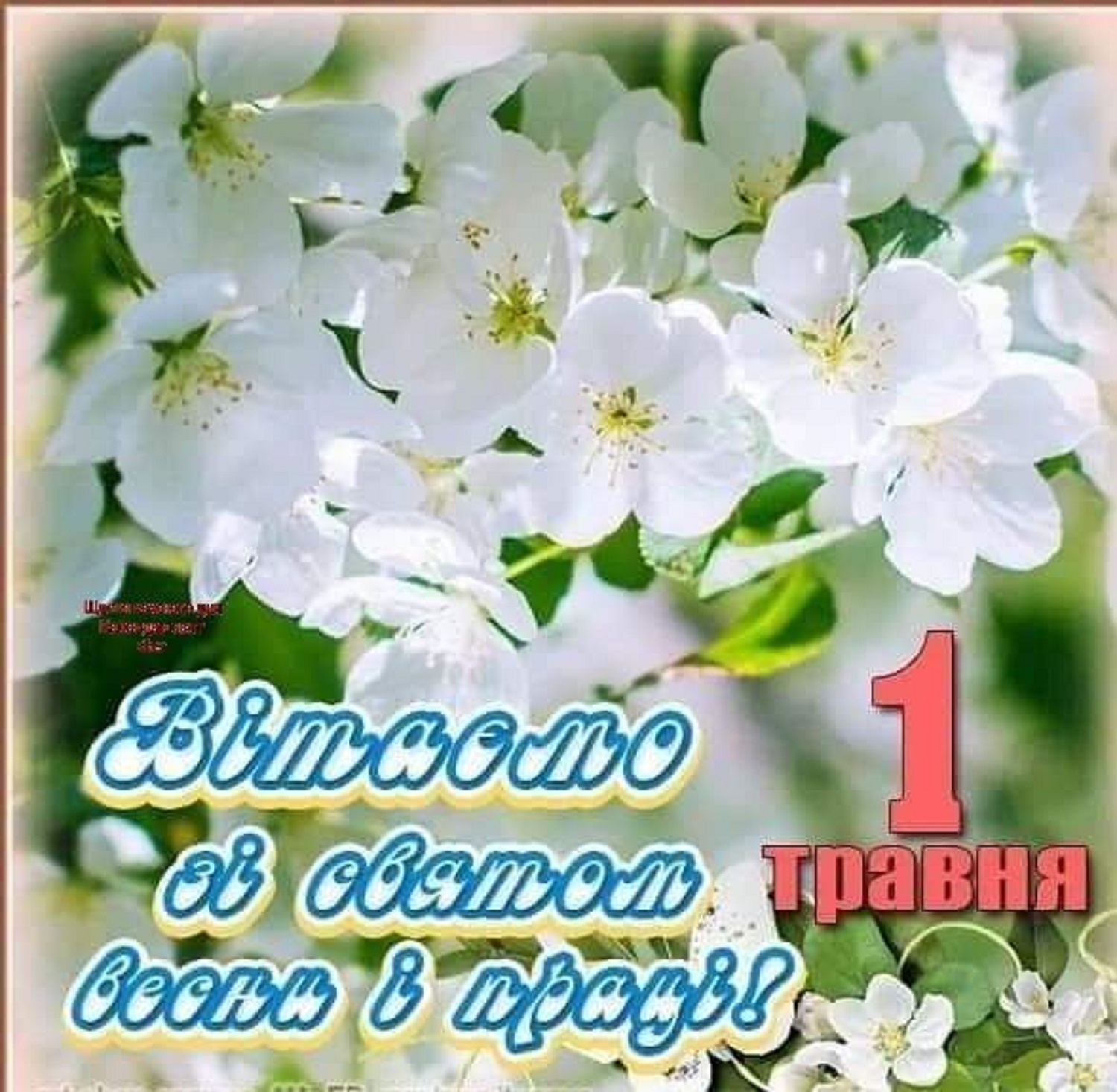 С 1 мая! Красивые поздравления для родных и друзей - в прозе, стихах и открытках